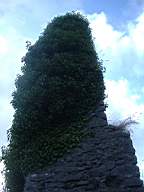 bellanamullia - 1125.JPG